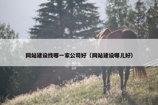 网站建设找哪一家公司好（网站建设哪儿好）