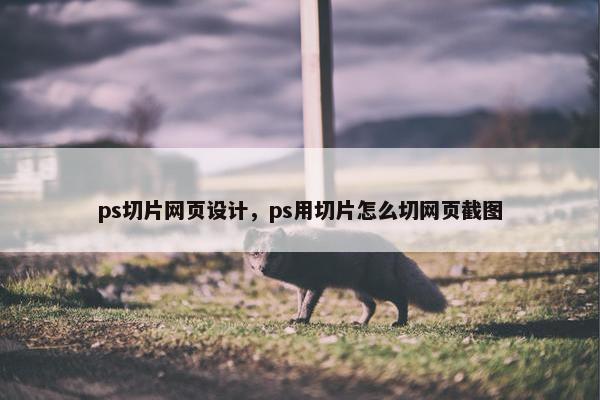 ps切片网页设计，ps用切片怎么切网页截图