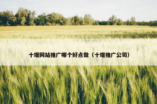 十堰网站推广哪个好点做（十堰推广公司）