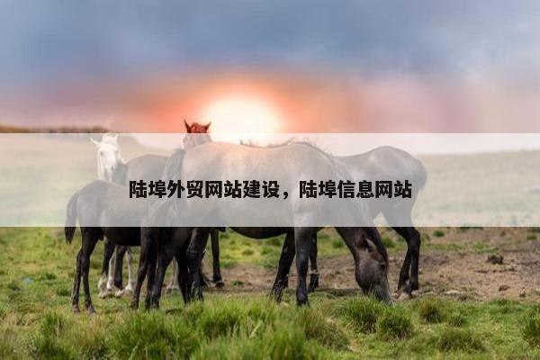 陆埠外贸网站建设，陆埠信息网站
