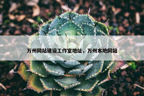 万州网站建设工作室地址，万州本地网站