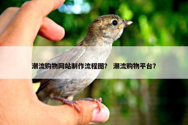 潮流购物网站制作流程图？ 潮流购物平台？
