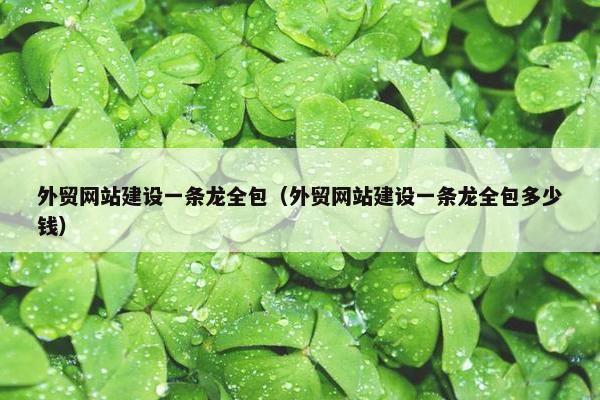 外贸网站建设一条龙全包（外贸网站建设一条龙全包多少钱）