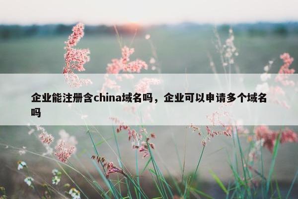 企业能注册含china域名吗，企业可以申请多个域名吗