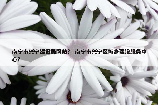 南宁市兴宁建设局网站？ 南宁市兴宁区城乡建设服务中心？