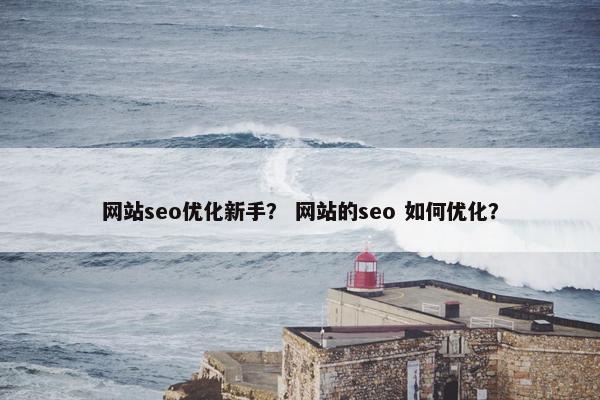 网站seo优化新手？ 网站的seo 如何优化？