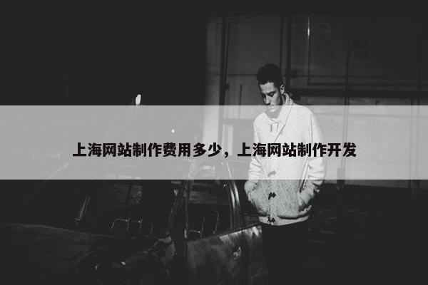 上海网站制作费用多少，上海网站制作开发