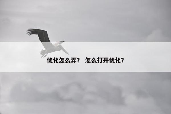 优化怎么弄？ 怎么打开优化？