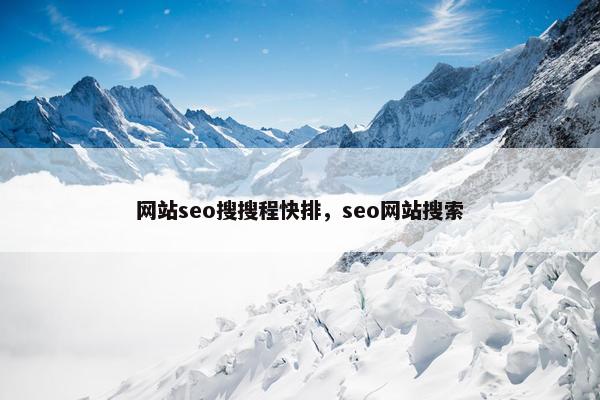 网站seo搜搜程快排，seo网站搜索