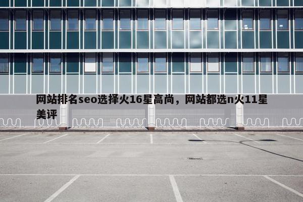 网站排名seo选择火16星高尚，网站都选n火11星美评