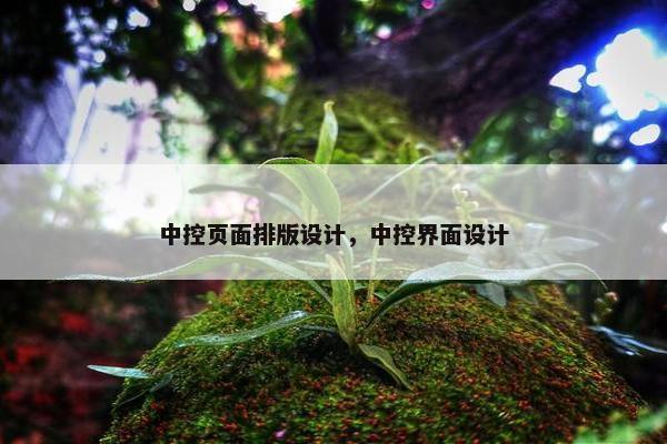中控页面排版设计，中控界面设计