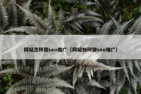网站怎样做seo推广（网站如何做seo推广）