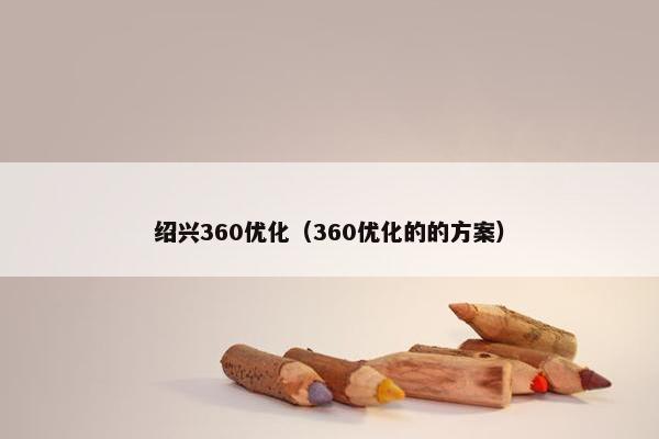 绍兴360优化（360优化的的方案）
