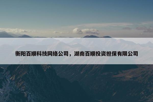 衡阳百顺科技网络公司，湖南百顺投资担保有限公司