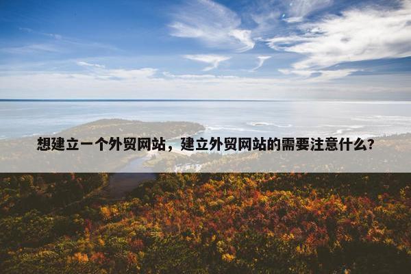 想建立一个外贸网站，建立外贸网站的需要注意什么?