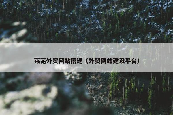 莱芜外贸网站搭建（外贸网站建设平台）