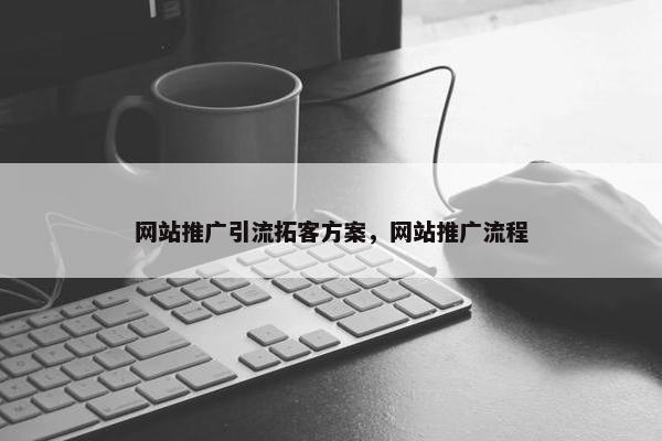 网站推广引流拓客方案，网站推广流程