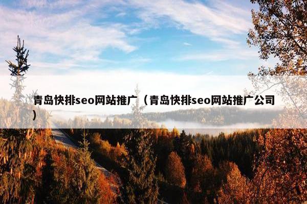 青岛快排seo网站推广（青岛快排seo网站推广公司）