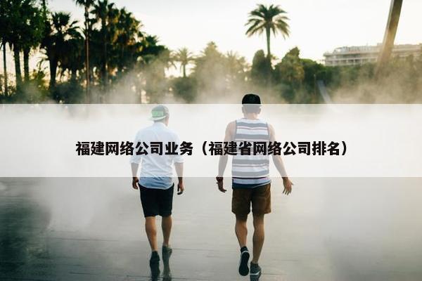 福建网络公司业务（福建省网络公司排名）