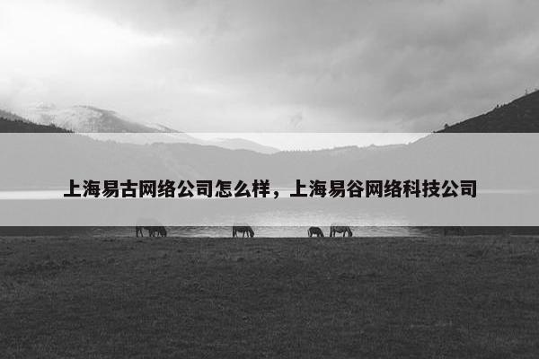 上海易古网络公司怎么样，上海易谷网络科技公司