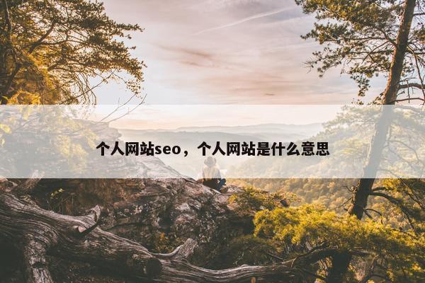 个人网站seo，个人网站是什么意思