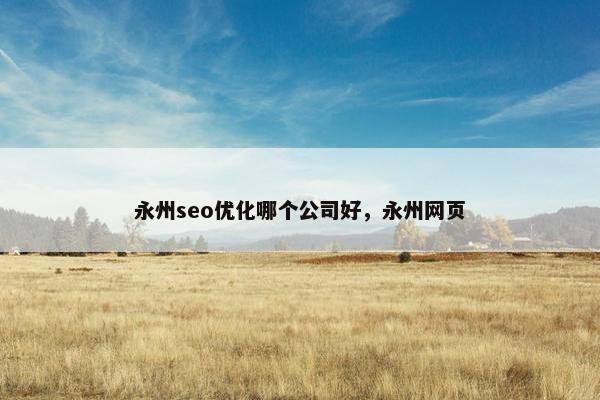 永州seo优化哪个公司好，永州网页