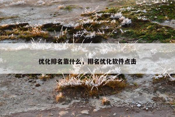优化排名靠什么，排名优化软件点击