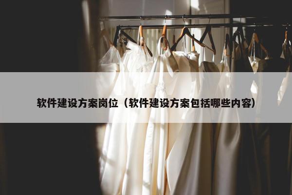 软件建设方案岗位（软件建设方案包括哪些内容）