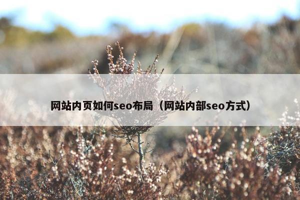网站内页如何seo布局（网站内部seo方式）
