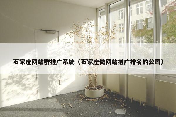 石家庄网站群推广系统（石家庄做网站推广排名的公司）