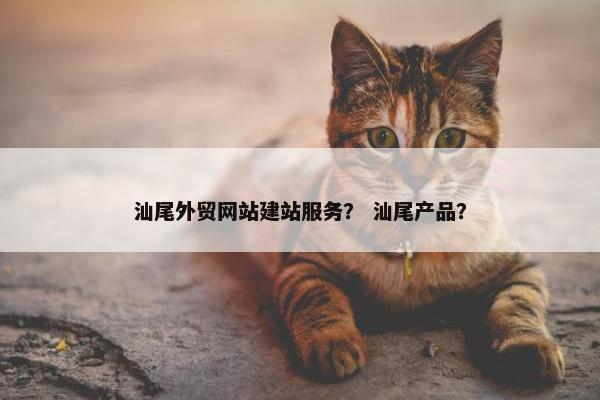 汕尾外贸网站建站服务？ 汕尾产品？