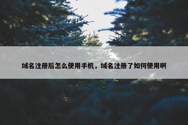 域名注册后怎么使用手机，域名注册了如何使用啊