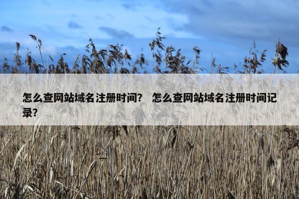 怎么查网站域名注册时间？ 怎么查网站域名注册时间记录？