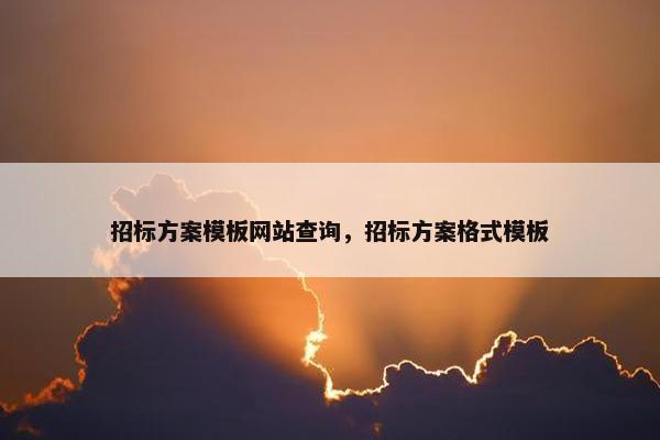 招标方案模板网站查询，招标方案格式模板