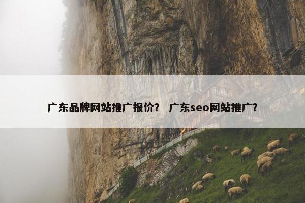 广东品牌网站推广报价？ 广东seo网站推广？