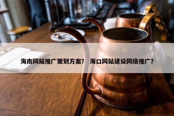 海南网站推广策划方案？ 海口网站建设网络推广？