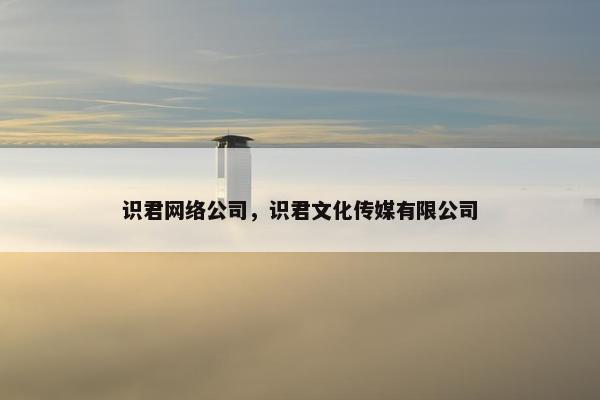 识君网络公司，识君文化传媒有限公司