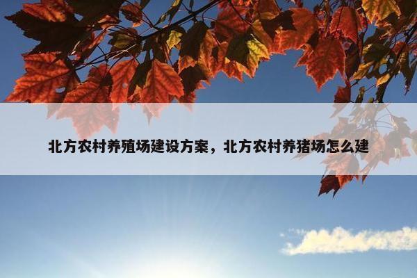 北方农村养殖场建设方案，北方农村养猪场怎么建