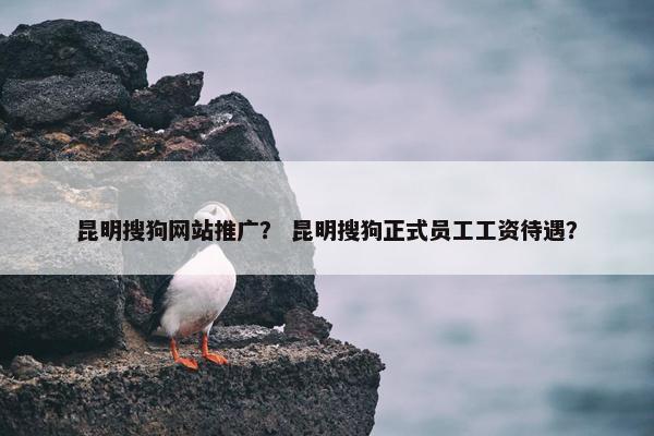 昆明搜狗网站推广？ 昆明搜狗正式员工工资待遇？