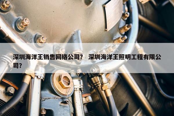 深圳海洋王销售网络公司？ 深圳海洋王照明工程有限公司？