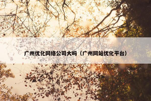 广州优化网络公司大吗（广州网站优化平台）
