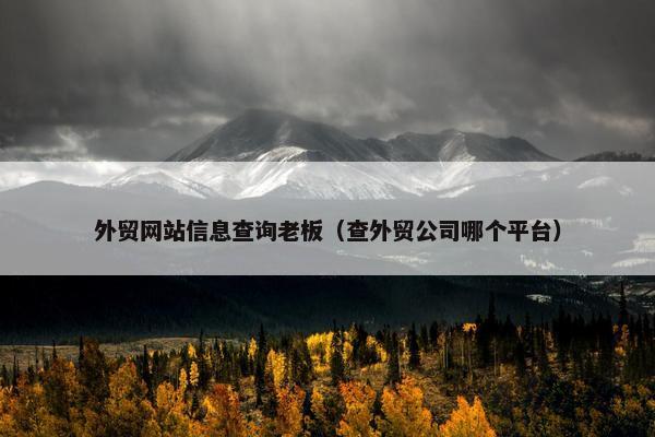 外贸网站信息查询老板（查外贸公司哪个平台）