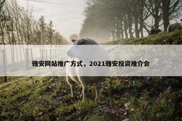 雅安网站推广方式，2021雅安投资推介会