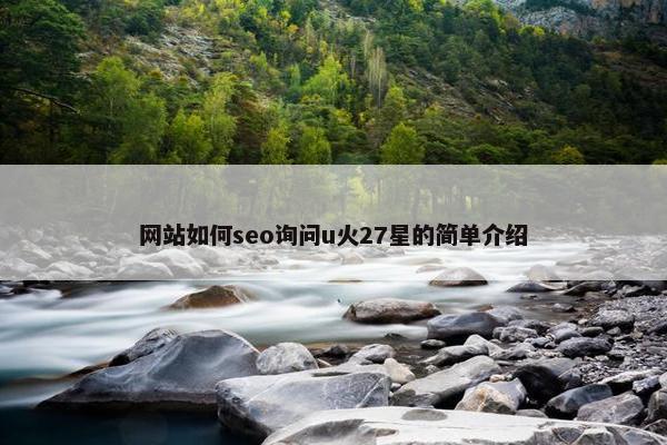 网站如何seo询问u火27星的简单介绍