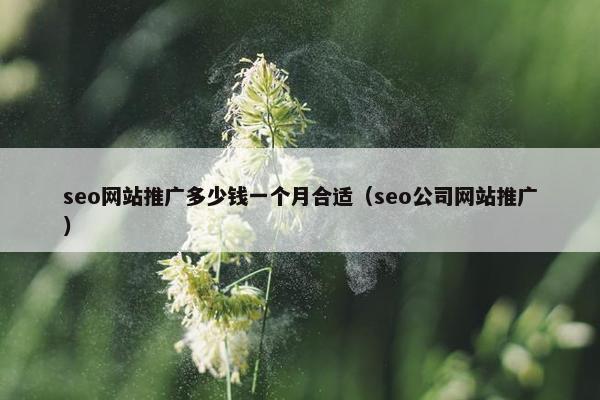 seo网站推广多少钱一个月合适（seo公司网站推广）
