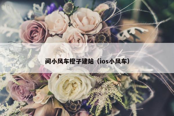 间小风车橙子建站（ios小风车）