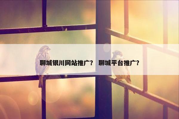 聊城银川网站推广？ 聊城平台推广？