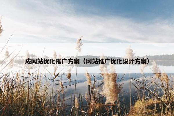 成网站优化推广方案（网站推广优化设计方案）
