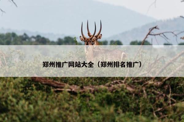 郑州推广网站大全（郑州排名推广）