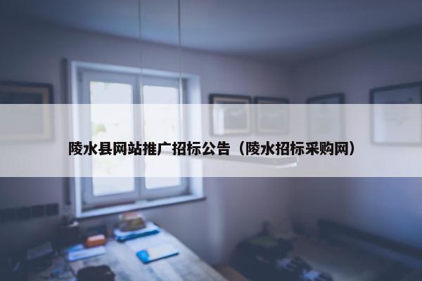 陵水县网站推广招标公告（陵水招标采购网）